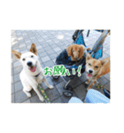 プルートちょび寧々第1弾（個別スタンプ：39）
