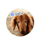プルートちょび寧々第1弾（個別スタンプ：40）