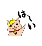 shamidog イヌハル！！（個別スタンプ：1）