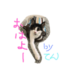てん＆いっぺい（個別スタンプ：1）