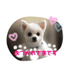 HARU＆KINA2（個別スタンプ：1）