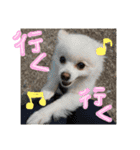HARU＆KINA2（個別スタンプ：20）