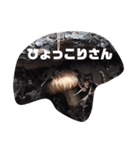 マツタケシーズン（個別スタンプ：3）