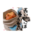 フトアゴ リッツ と モルモット チョコ（個別スタンプ：38）