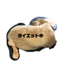 三郎の日常！（個別スタンプ：6）