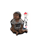 いろとりん（個別スタンプ：16）