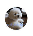 もふもふロクちゃん（個別スタンプ：1）