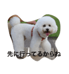 もふもふロクちゃん（個別スタンプ：3）