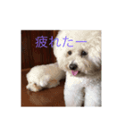 もふもふロクちゃん（個別スタンプ：4）