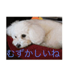 もふもふロクちゃん（個別スタンプ：6）
