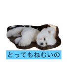 もふもふロクちゃん（個別スタンプ：7）