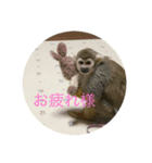 りくぞう2（個別スタンプ：1）