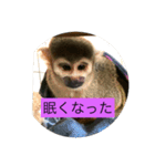 りくぞう2（個別スタンプ：3）