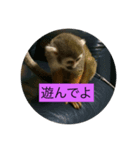 りくぞう2（個別スタンプ：5）