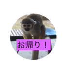 りくぞう2（個別スタンプ：7）