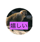 りくぞう2（個別スタンプ：8）