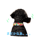 いくららスタンプ（個別スタンプ：3）
