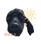いくららスタンプ（個別スタンプ：6）