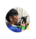 いくららスタンプ（個別スタンプ：14）