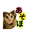 こたろう君の日常（個別スタンプ：12）