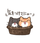 にゃんこ暮らし2（個別スタンプ：30）