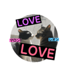 レオン＆マロン LOVE（個別スタンプ：1）