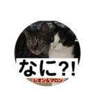 レオン＆マロン LOVE（個別スタンプ：2）