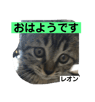 レオン＆マロン LOVE（個別スタンプ：3）