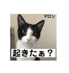 レオン＆マロン LOVE（個別スタンプ：4）