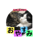 レオン＆マロン LOVE（個別スタンプ：7）