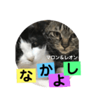 レオン＆マロン LOVE（個別スタンプ：8）