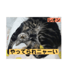 レオン＆マロン LOVE（個別スタンプ：12）