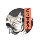 レオン＆マロン LOVE（個別スタンプ：15）