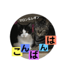 レオン＆マロン LOVE（個別スタンプ：17）