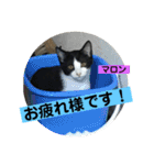 レオン＆マロン LOVE（個別スタンプ：18）