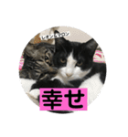 レオン＆マロン LOVE（個別スタンプ：20）