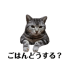 猫の四兄弟（個別スタンプ：4）