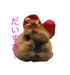 もふもふまるお（個別スタンプ：8）