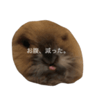 もふもふまるお（個別スタンプ：17）