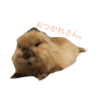 もふもふまるお（個別スタンプ：20）