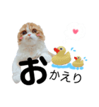 I am Fluffy Cat 3（個別スタンプ：3）