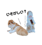 I am Fluffy Cat 3（個別スタンプ：5）