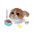 I am Fluffy Cat 3（個別スタンプ：11）