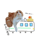 I am Fluffy Cat 3（個別スタンプ：14）
