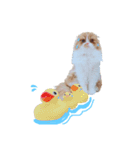 I am Fluffy Cat 3（個別スタンプ：16）