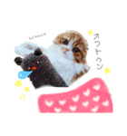 I am Fluffy Cat 3（個別スタンプ：21）