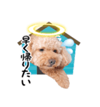 星のおーじろー（個別スタンプ：3）