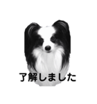 クロム挨拶（個別スタンプ：4）
