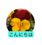 お花と挨拶（個別スタンプ：2）