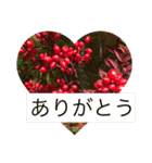 お花と挨拶（個別スタンプ：8）